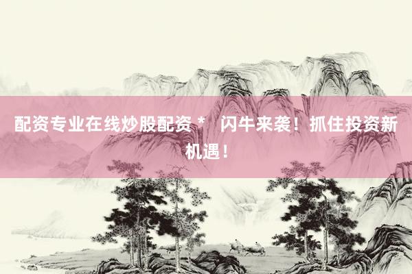 配资专业在线炒股配资 *   闪牛来袭！抓住投资新机遇！