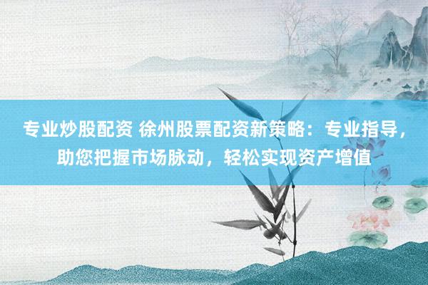 专业炒股配资 徐州股票配资新策略：专业指导，助您把握市场脉动，轻松实现资产增值