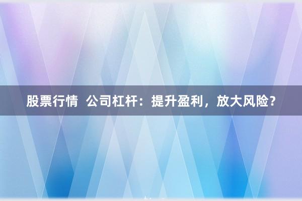 股票行情  公司杠杆：提升盈利，放大风险？