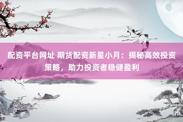 配资平台网址 期货配资新星小月：揭秘高效投资策略，助力投资者稳健盈利