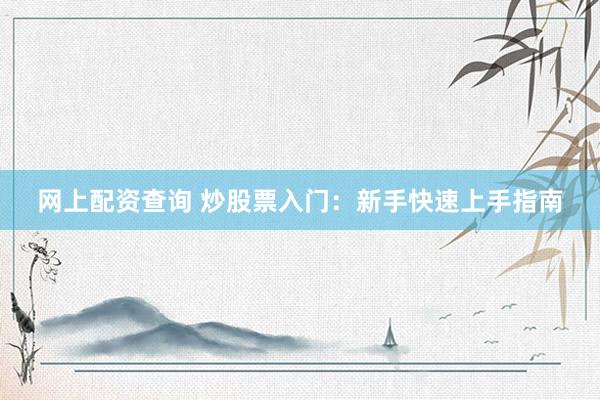 网上配资查询 炒股票入门：新手快速上手指南