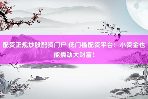 配资正规炒股配资门户 低门槛配资平台：小资金也能撬动大财富！