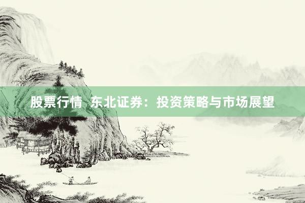 股票行情  东北证券：投资策略与市场展望