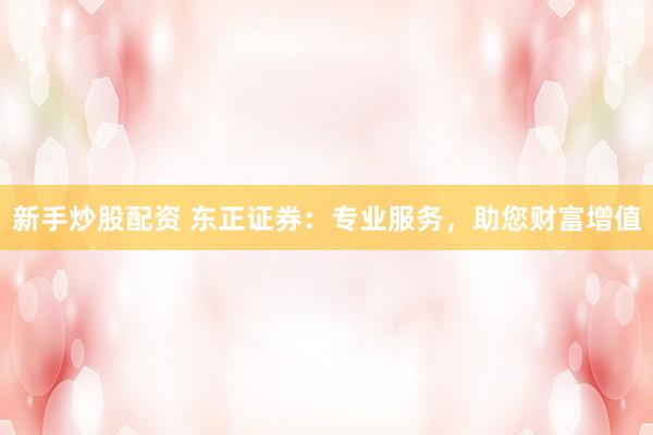 新手炒股配资 东正证券：专业服务，助您财富增值