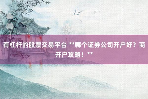 有杠杆的股票交易平台 **哪个证券公司开户好？商开户攻略！**