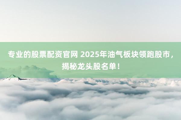 专业的股票配资官网 2025年油气板块领跑股市，揭秘龙头股名单！