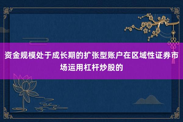 资金规模处于成长期的扩张型账户在区域性证券市场运用杠杆炒股的