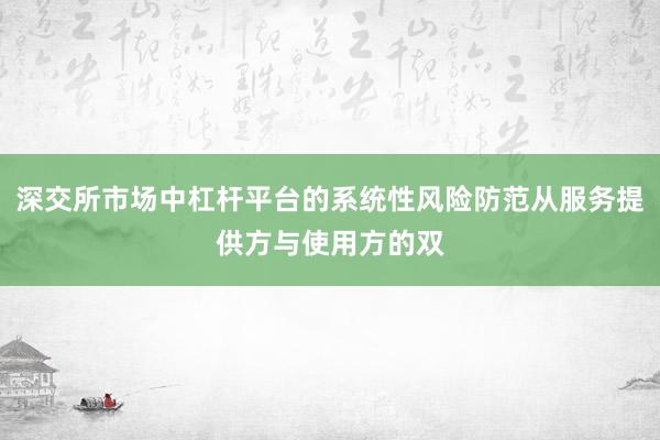 深交所市场中杠杆平台的系统性风险防范从服务提供方与使用方的双