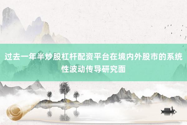 过去一年半炒股杠杆配资平台在境内外股市的系统性波动传导研究面
