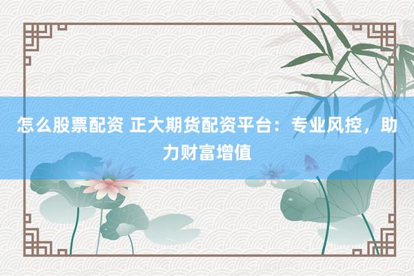 怎么股票配资 正大期货配资平台:专业风控,助力财富增值