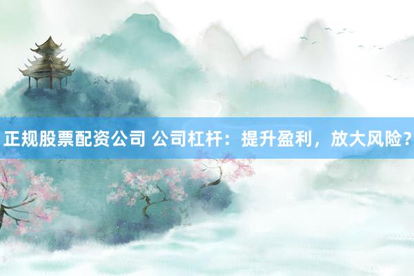 正规股票配资公司 公司杠杆：提升盈利，放大风险？